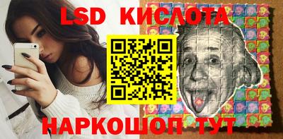 дживик Тара