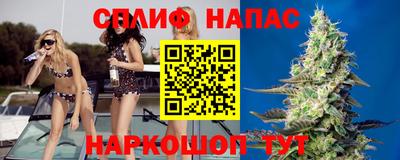 дживик Тара