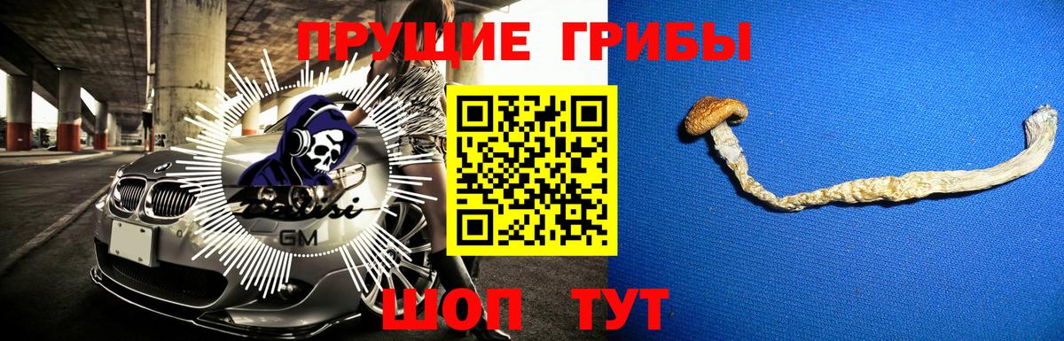 Фурманов  Галлюциногенные грибы мухоморы  Вход с VPN 