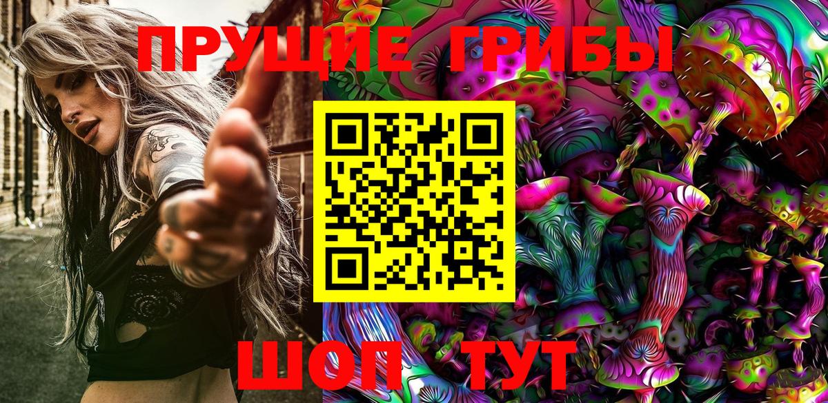 Галлюциногенные грибы Cubensis Фурманов